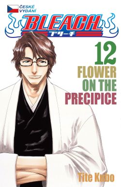 obrázek k novince Bleach 12: Flower on the Precipice