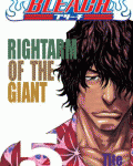 Bleach 5: Rightarm of Giant