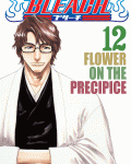 Bleach 12: Flower on the Precipice