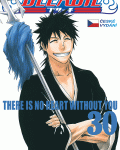 Bleach 30: There is no heart without you