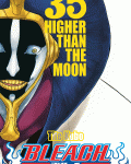 Bleach 35: Higher Than The Moon