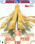 Bleach 36: Turn Back The Pendulum